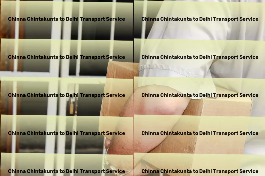 Chinna Chintakunta to Delhi Transport Your logistical triumphs in India begin here! - Industrial shipping services