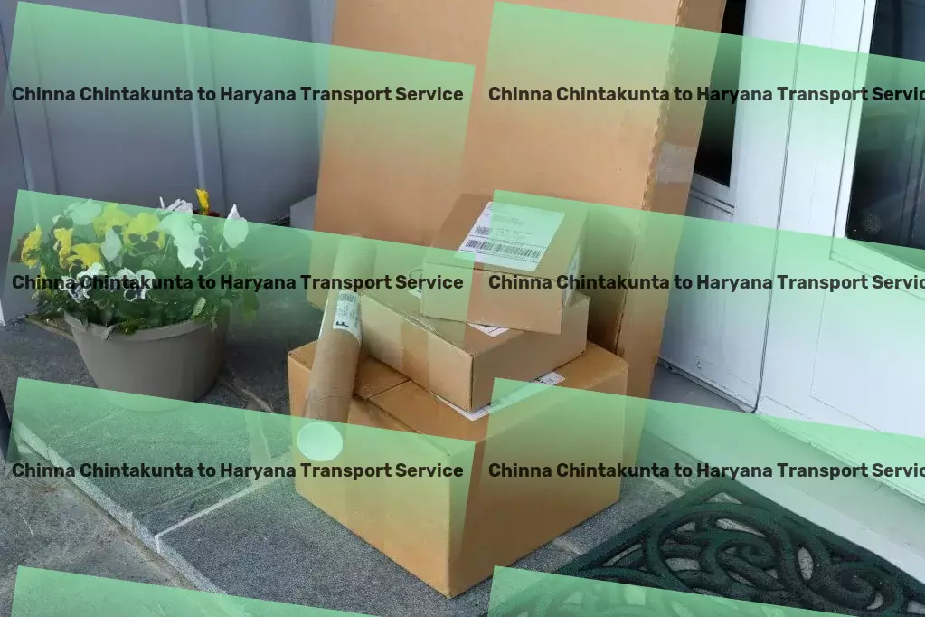 Chinna Chintakunta to Haryana Transport Join the revolution in efficient, streamlined Indian logistics. - Specialized package delivery