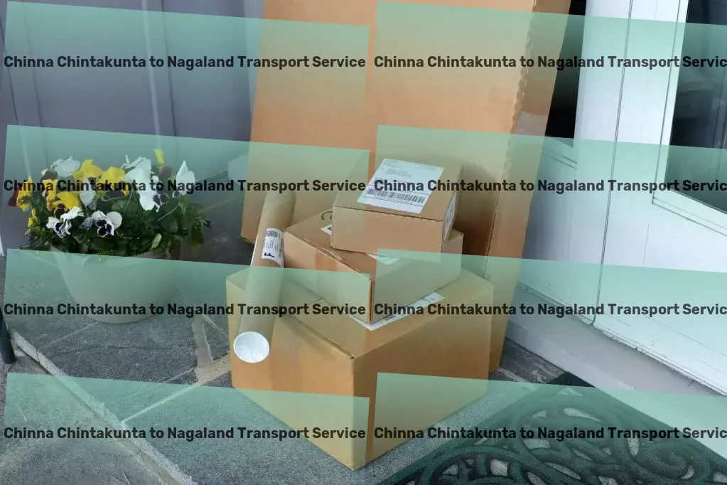 Chinna Chintakunta to Nagaland Transport Multi-regional moving solutions