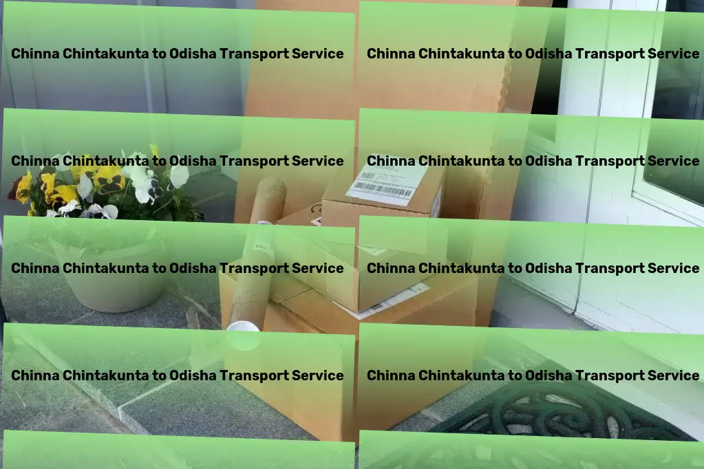 Chinna Chintakunta to Odisha Transport Innovative goods forwarding