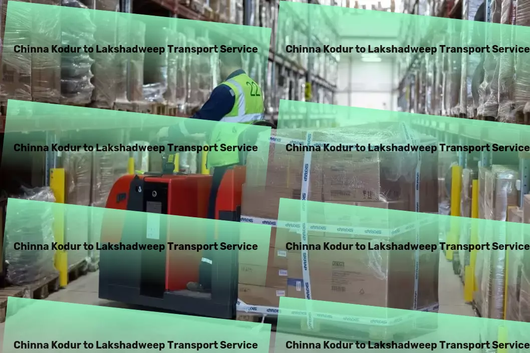 Chinna Kodur to Lakshadweep Transport Professional goods logistics