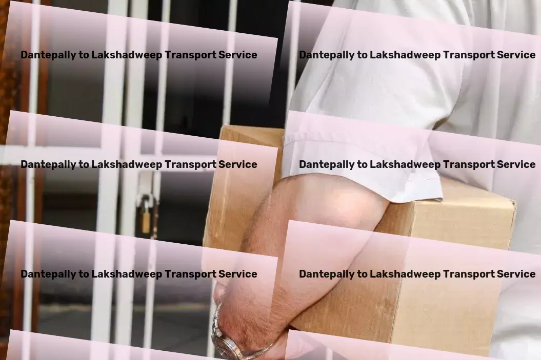 Dantepally to Lakshadweep Transport Transit furniture services