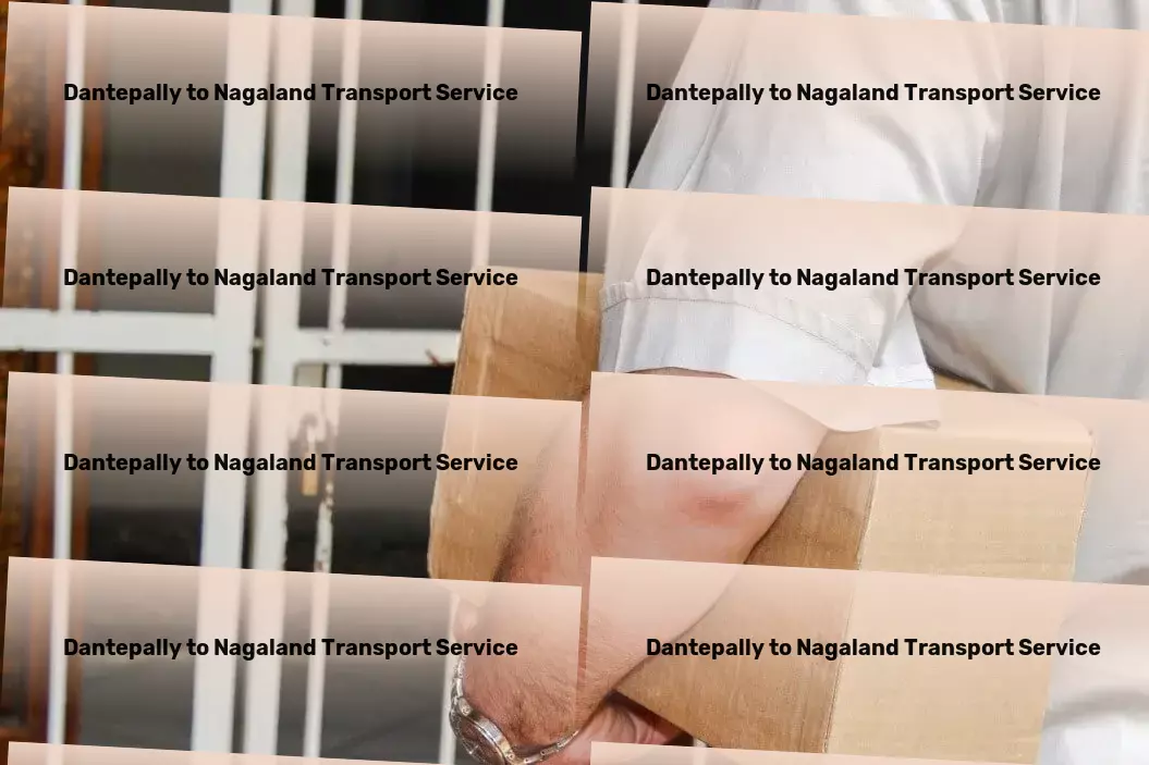 Dantepally to Nagaland Transport Tailoring every journey to meet your highest expectations! - Citywide package shipping