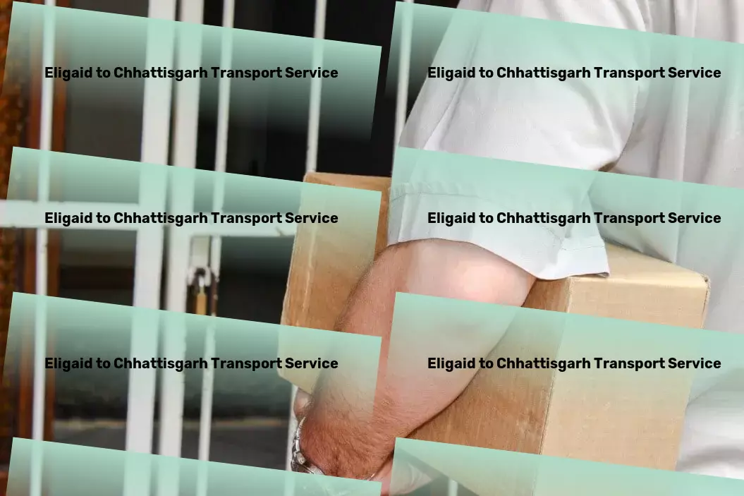 Eligaid to Chhattisgarh Transport Global freight services