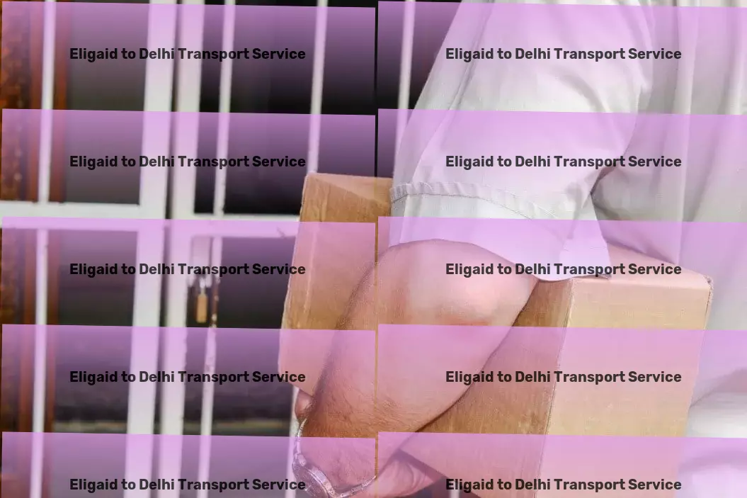 Eligaid to Delhi Transport Global freight services