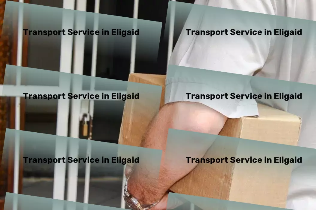 Transport in Eligaid, Rest of India (IND) Local goods shipment services