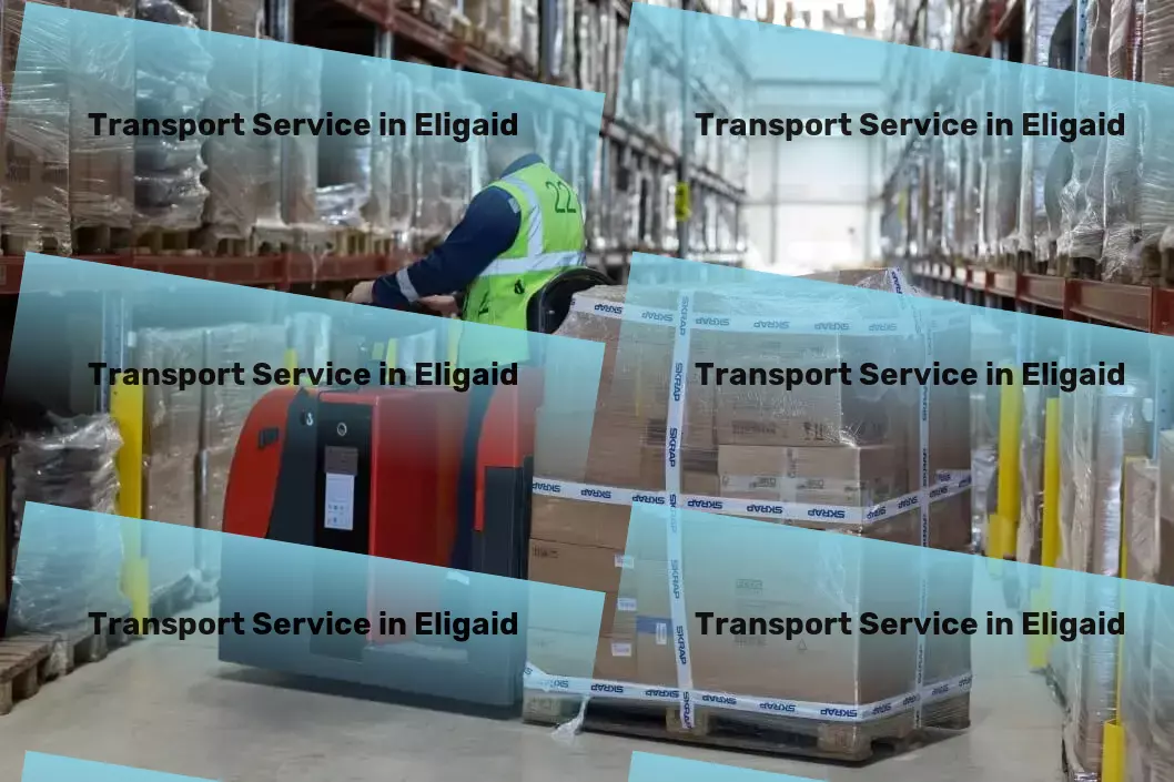 Transport in Eligaid, Rest of India (IND) Transport delivery services