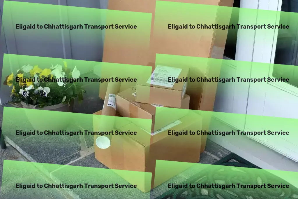 Eligaid to Chhattisgarh Transport Express freight forwarding