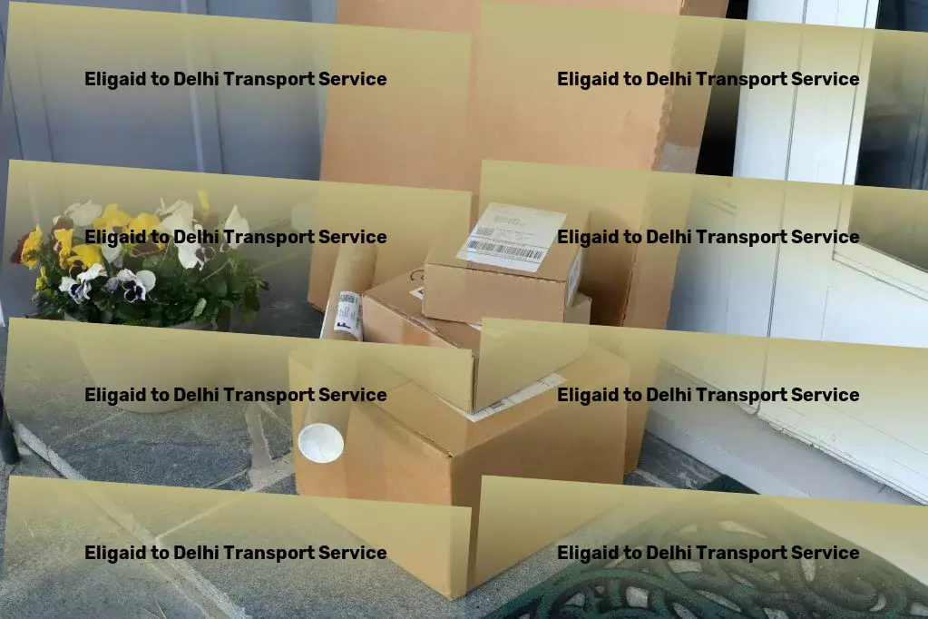 Eligaid to Delhi Transport Crafting custom transport solutions for India's market needs! - Express transport operations