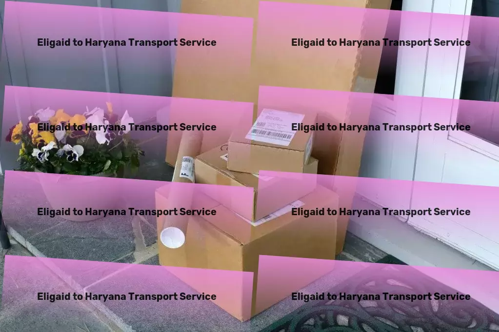 Eligaid to Haryana Transport Custom door-to-door delivery