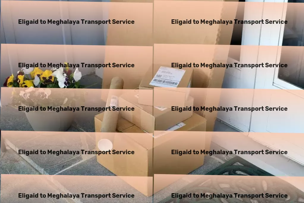 Eligaid to Meghalaya Transport Personalized freight logistics