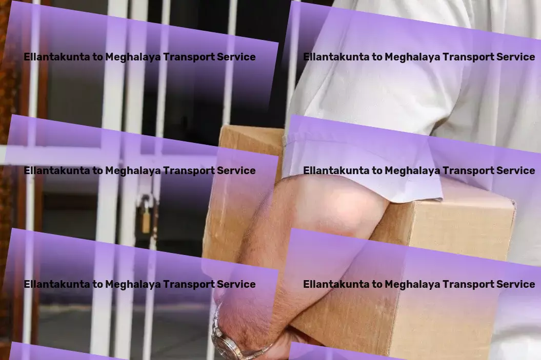 Ellantakunta to Meghalaya Transport Regional logistics services