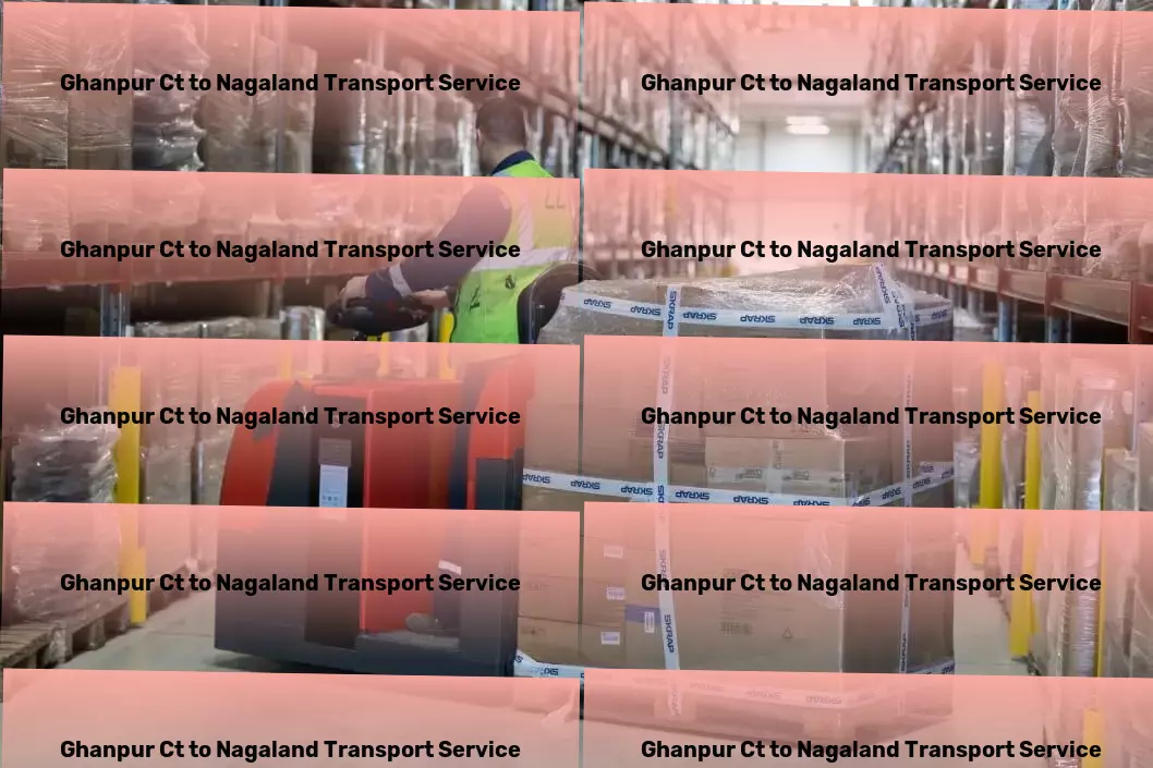 Ghanpur Ct to Nagaland Transport Your solution to navigating the logistics landscape in India! - Professional courier solutions