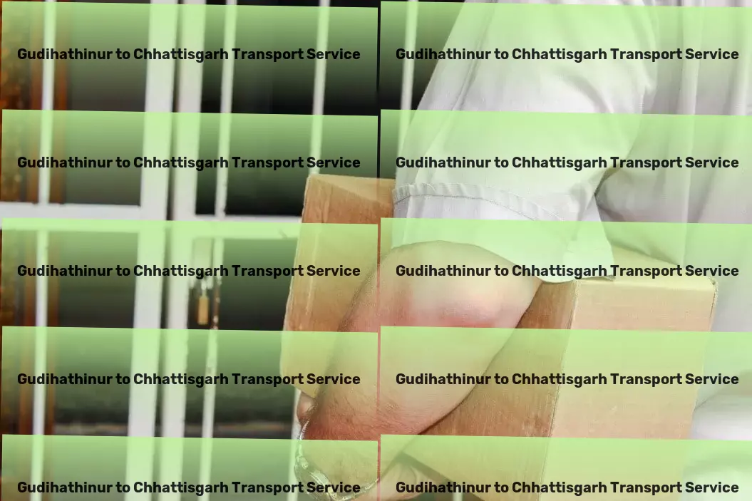 Gudihathinur to Chhattisgarh Transport Multi-city freight services