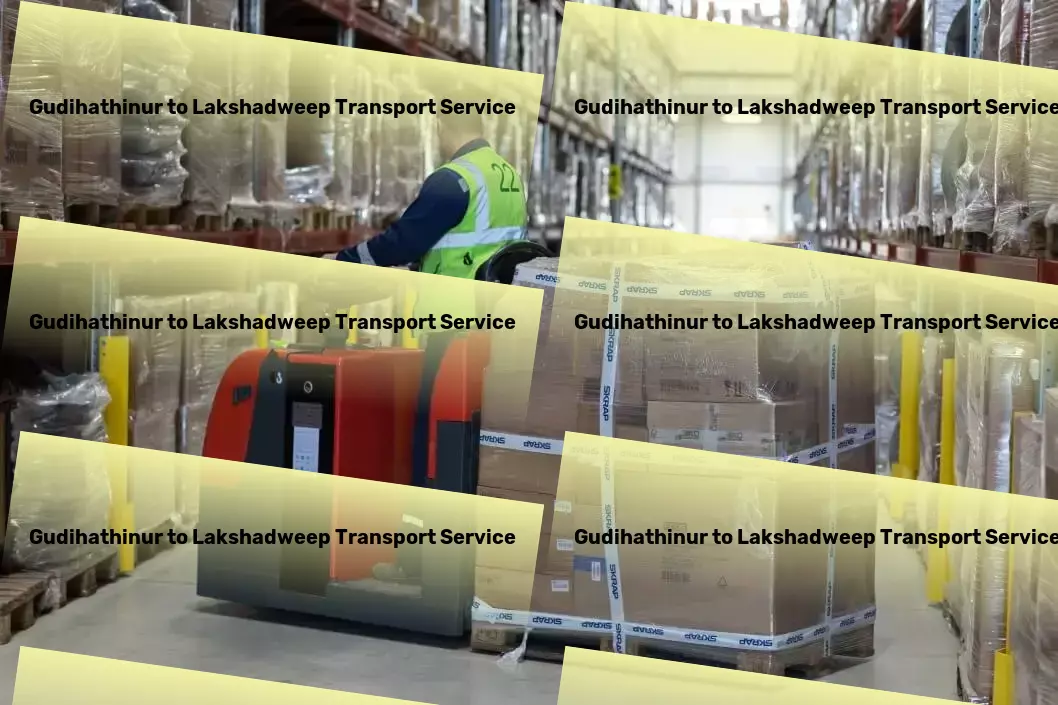 Gudihathinur to Lakshadweep Transport Nationwide logistics management