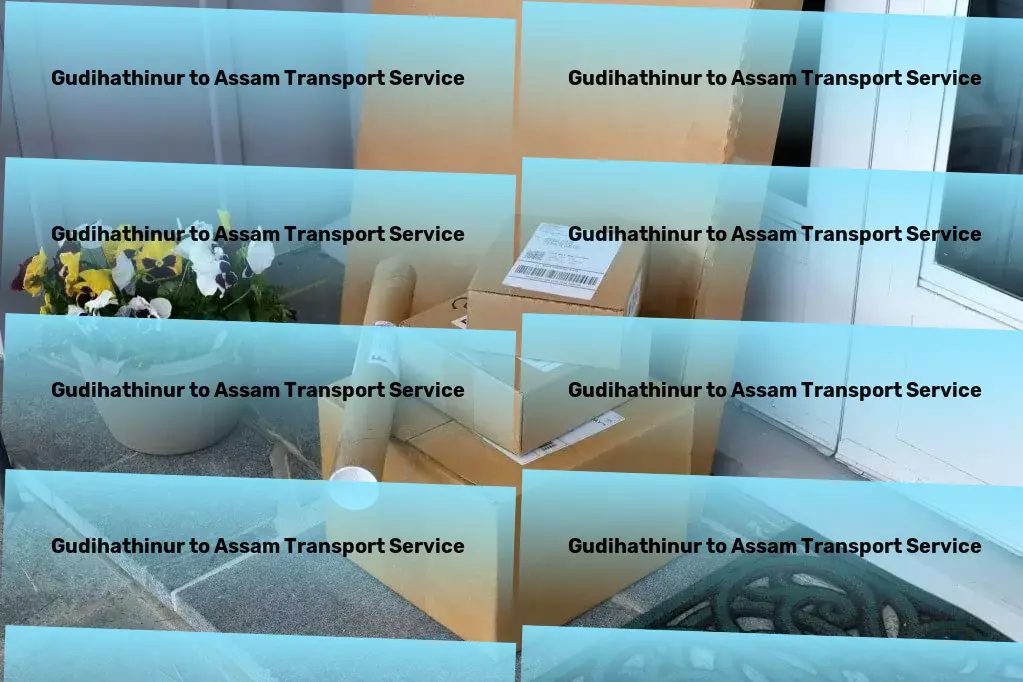 Gudihathinur to Assam Transport Household Courier Service