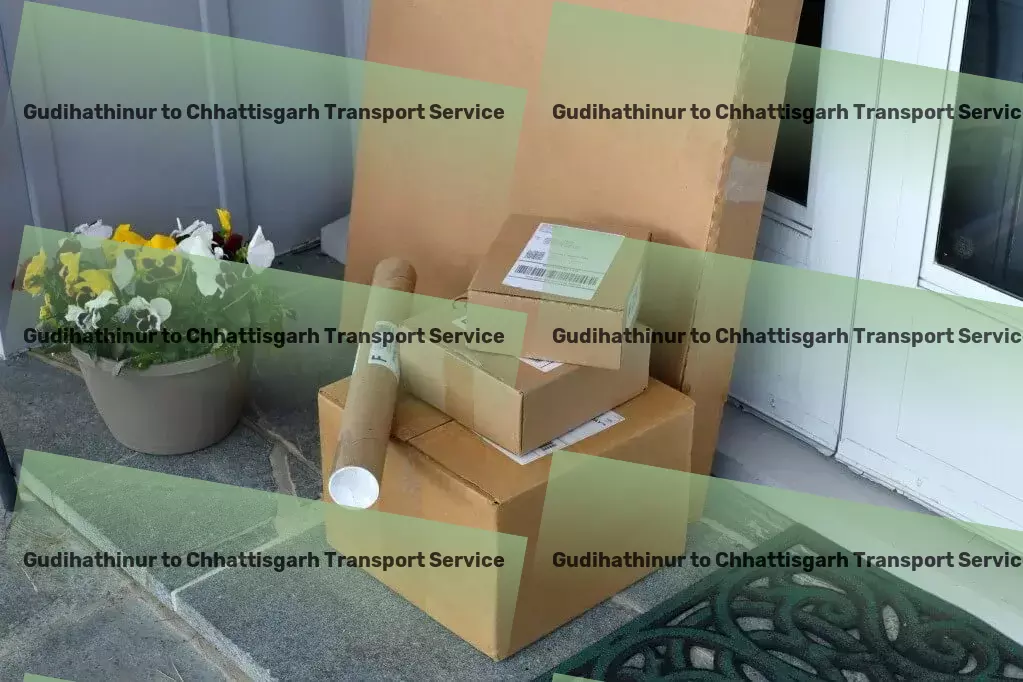 Gudihathinur to Chhattisgarh Transport Multi-city transport services