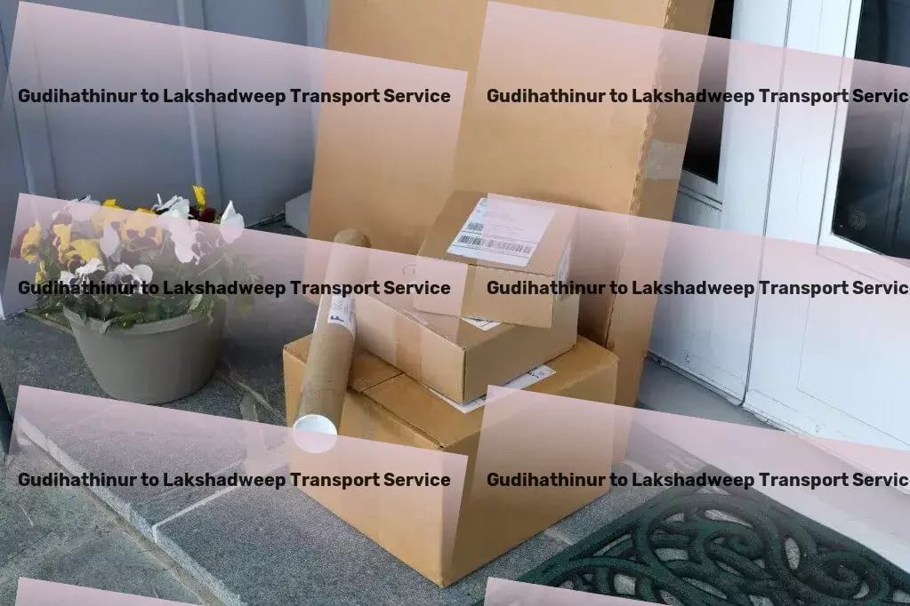 Gudihathinur to Lakshadweep Transport Nationwide freight and logistics