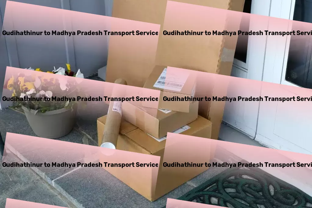 Gudihathinur to Madhya Pradesh Transport Urban package delivery