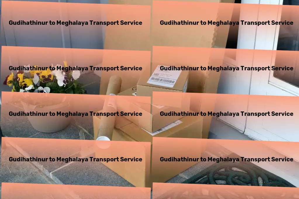 Gudihathinur to Meghalaya Transport Revolutionize cleaning routines with efficiency hacks! - Advanced shipping logistics