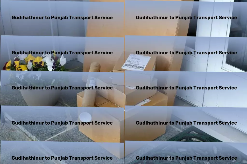 Gudihathinur to Punjab Transport Personal goods forwarding