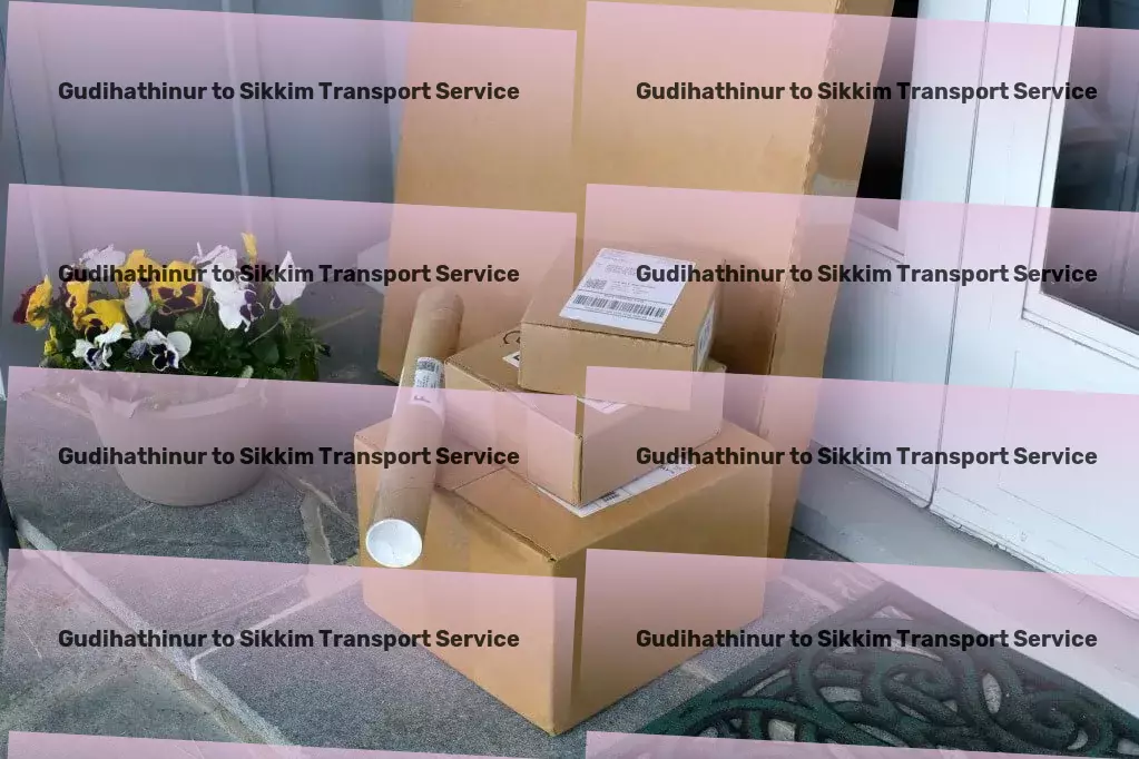 Gudihathinur to Sikkim Transport Optimize your home office for peak productivity! - Professional cargo logistics