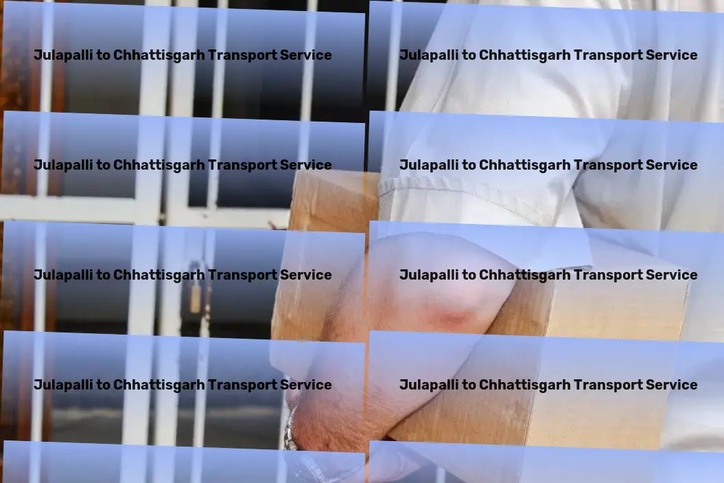 Julapalli to Chhattisgarh Transport Customized logistics services